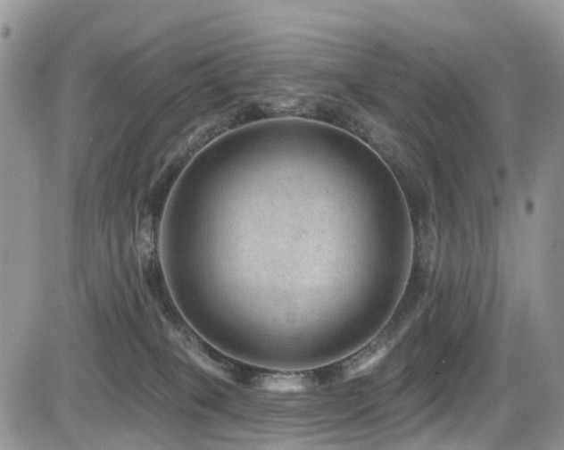 X0000085800085200703161201