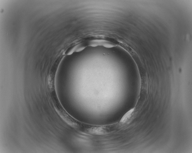 X0000085800086200703161201