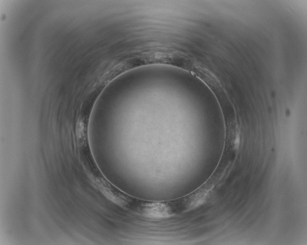 X0000085800087200703161201