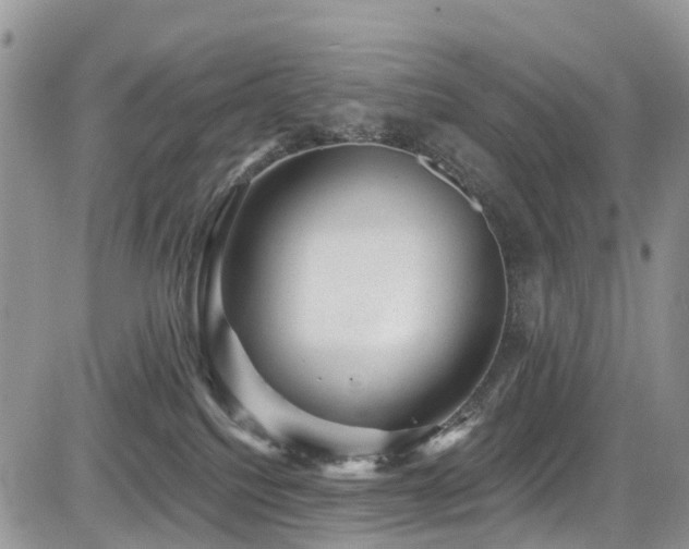 X0000085800088200703161201