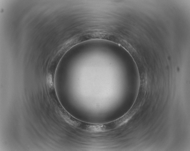 X0000085800089200703161201