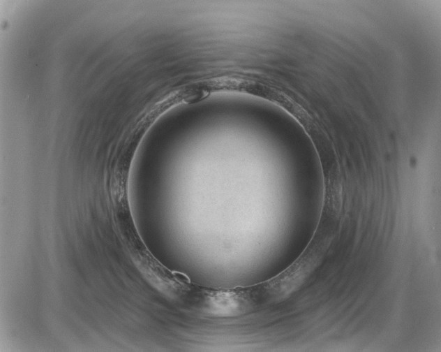 X0000085800091200703161201