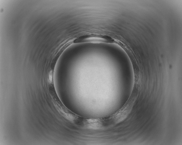 X0000085800095200703161201