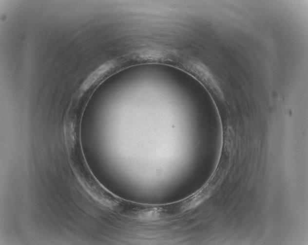 X0000085800116200703161200