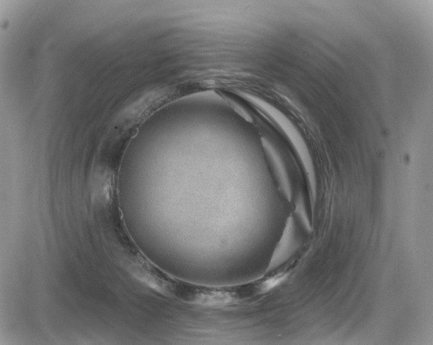 X0000085800125200703161200