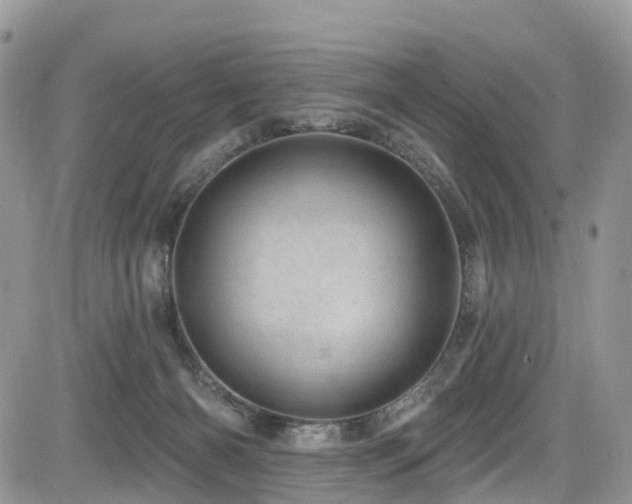 X0000085800126200703161200