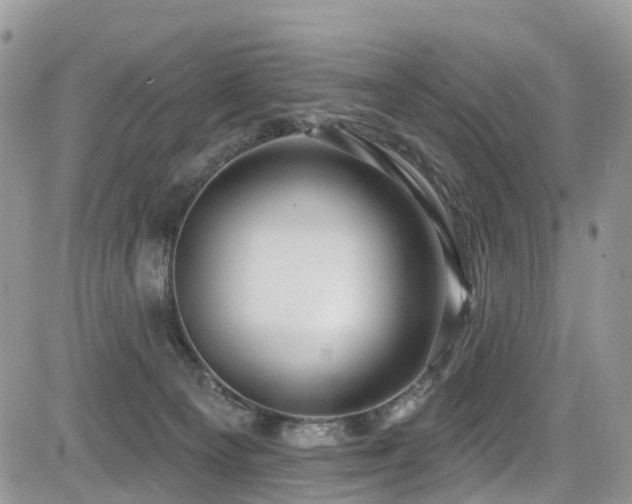 X0000085800129200703161200
