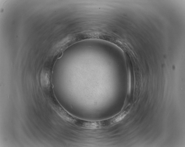 X0000085800131200703161200