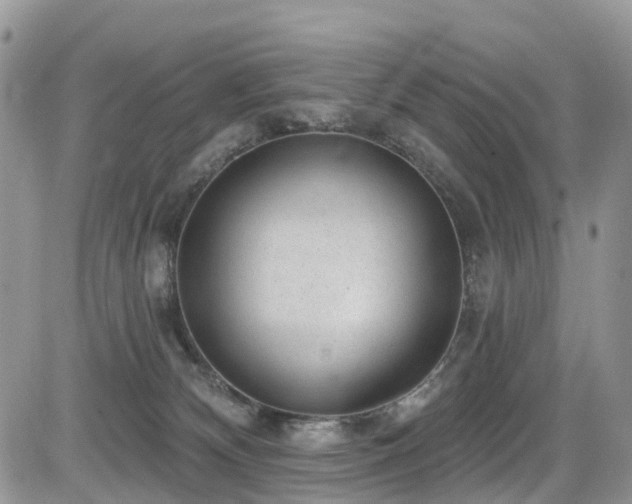 X0000085800132200703161200