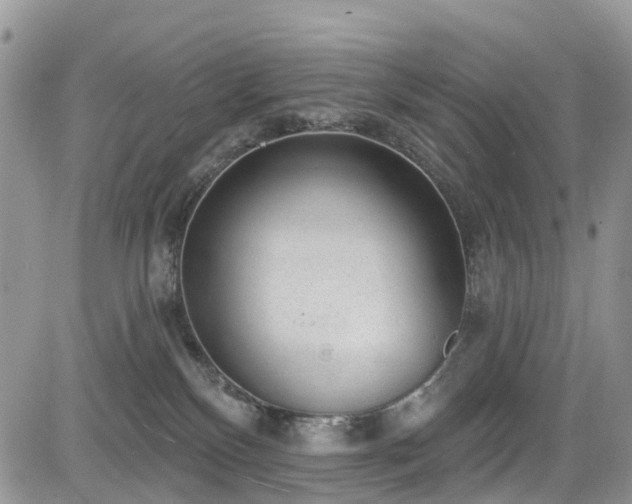 X0000085800136200703161200
