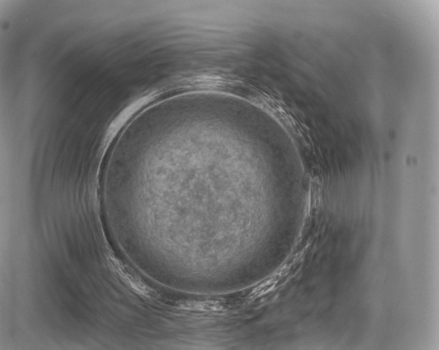 X0000085800147200703161159