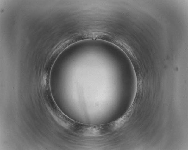 X0000085800166200703161159
