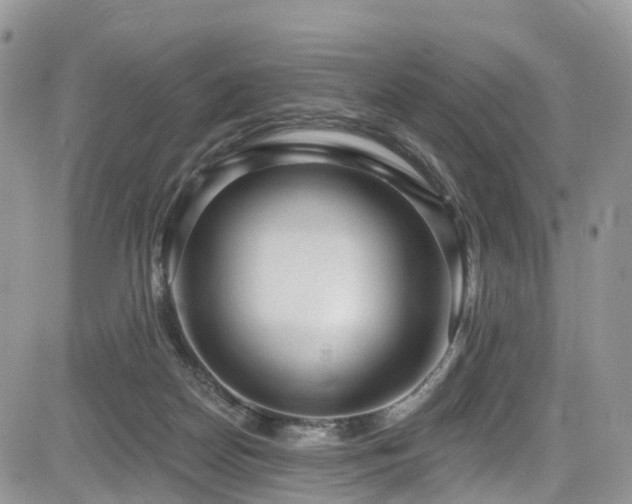 X0000085800170200703161159