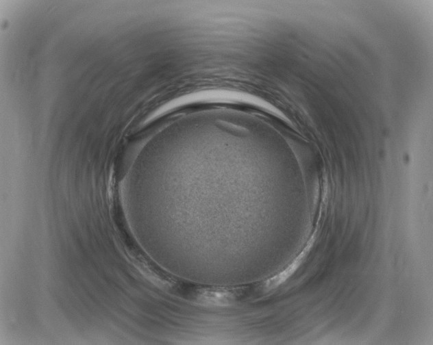 X0000085800174200703161159