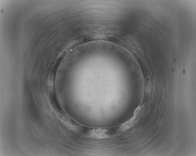 X0000085800179200703161159