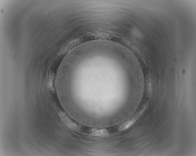 X0000085800185200703161200