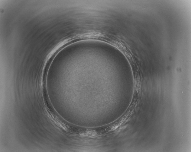 X0000085800196200703161159