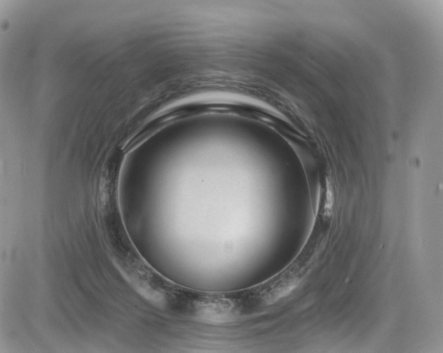 X0000085800215200703161158