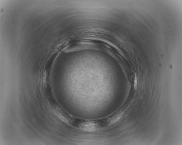 X0000085800219200703161158