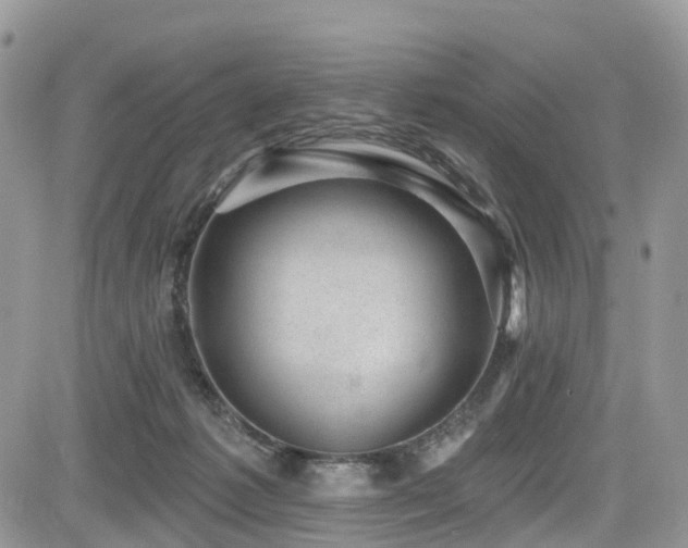 X0000085800221200703161158