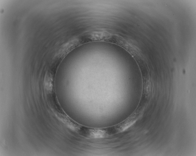 X0000085800226200703161158