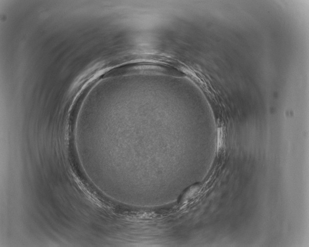 X0000085800243200703161157