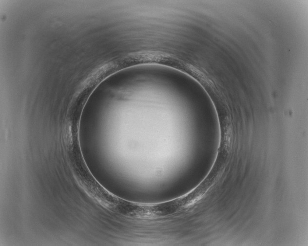 X0000085800254200703161157