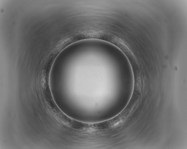 X0000085800259200703161158