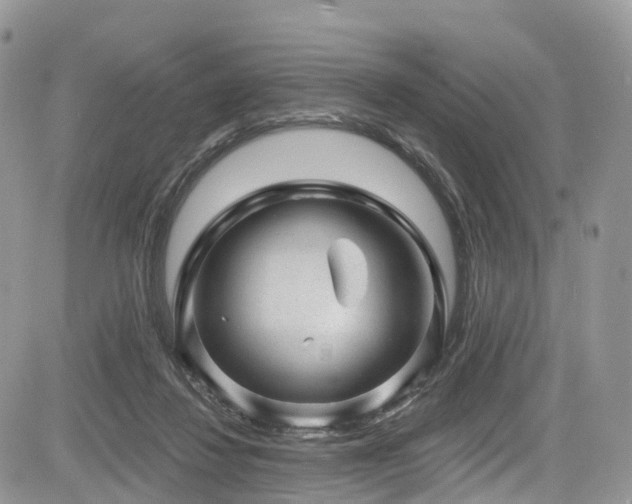 X0000085800260200703161158