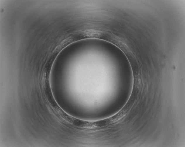 X0000085800263200703161158