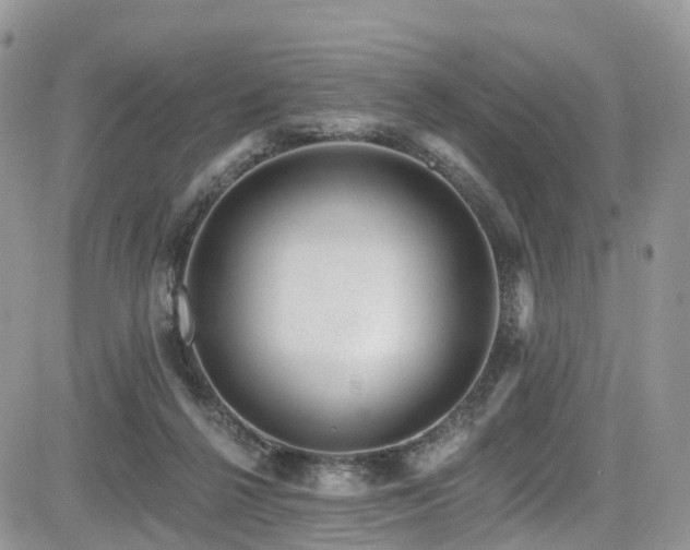 X0000085800264200703161158