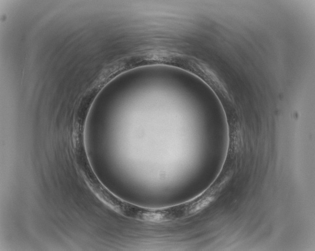 X0000085800265200703161158