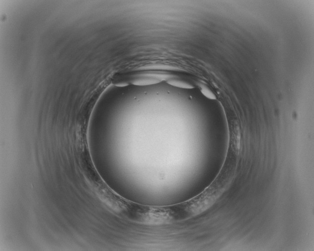X0000085800270200703161158