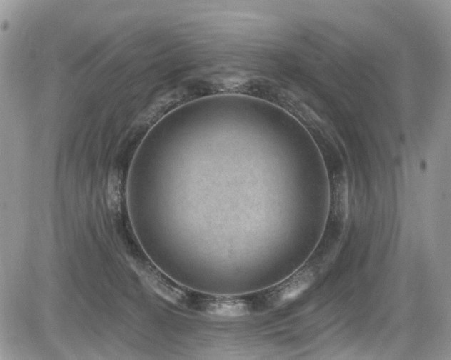 X0000085800274200703161158