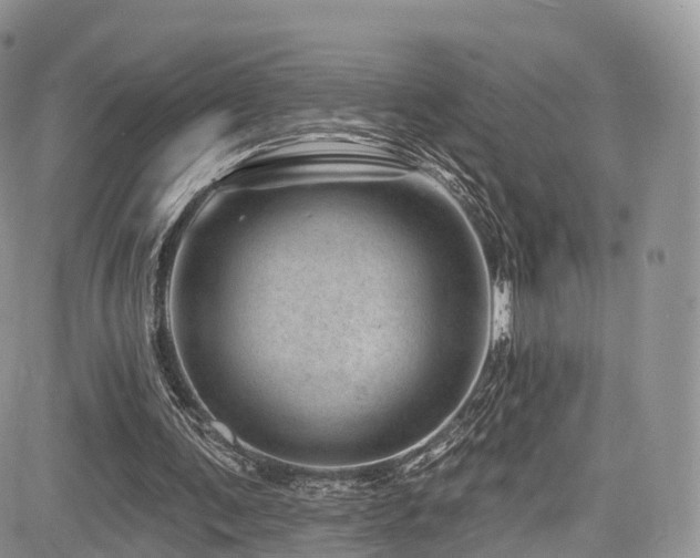 X0000085800291200703161157