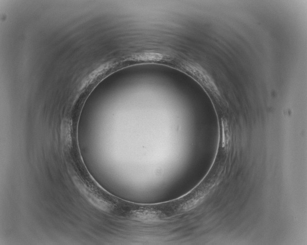 X0000085800300200703161157