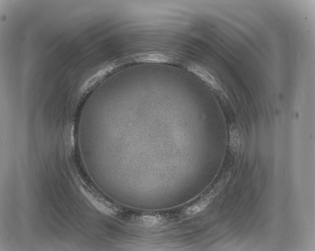 X0000085800302200703161157