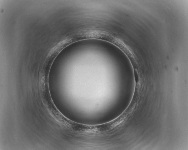 X0000085800306200703161157