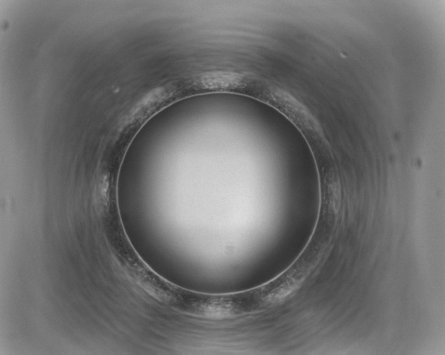 X0000085800308200703161157
