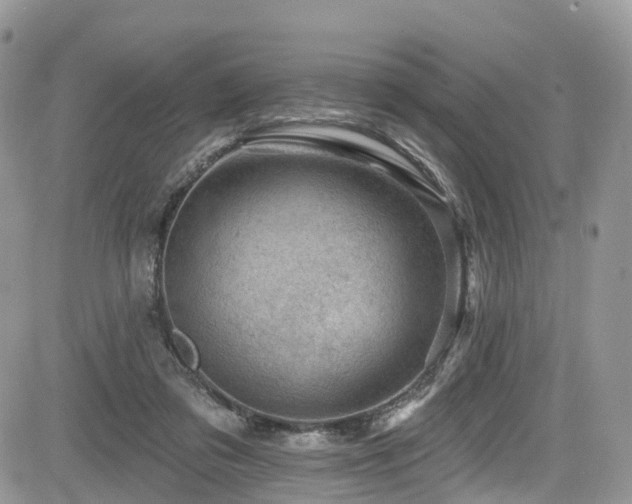 X0000085800309200703161157