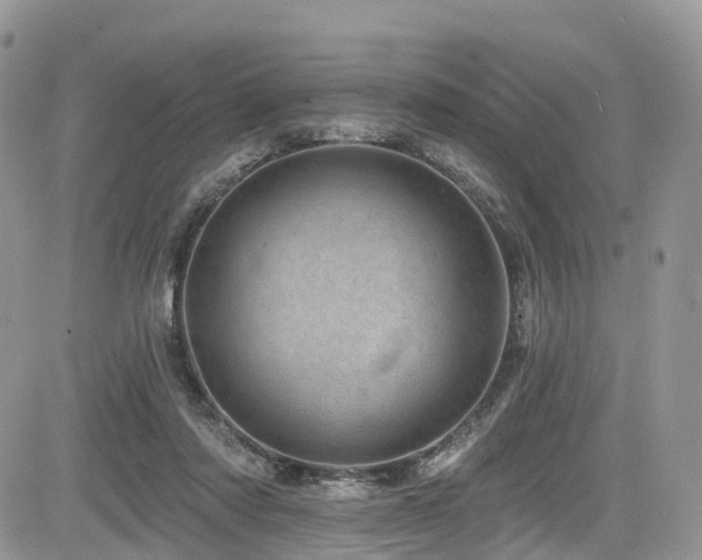 X0000085800310200703161157