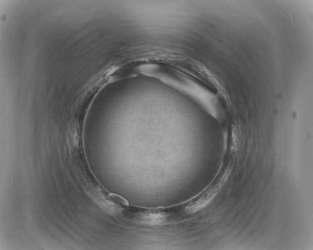 X0000085800313200703161157