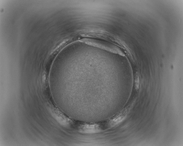 X0000085800314200703161157