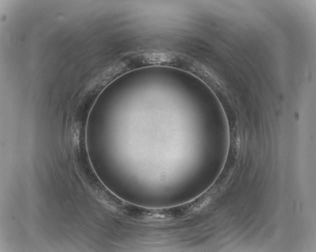 X0000085800315200703161157