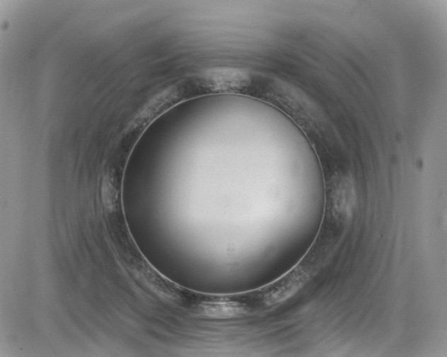 X0000085800316200703161157