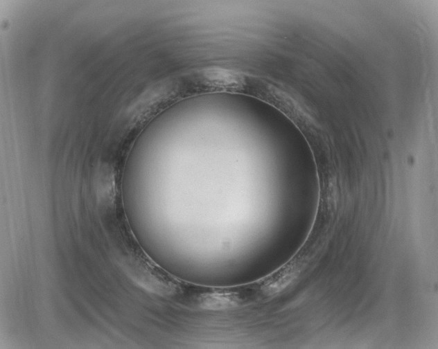 X0000085800320200703161157
