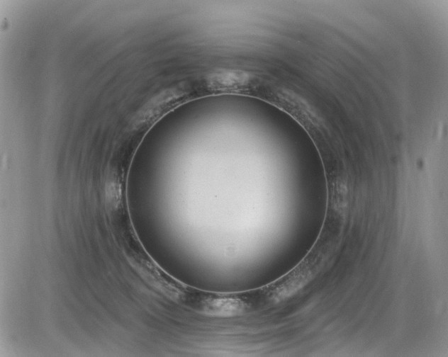 X0000085800324200703161157