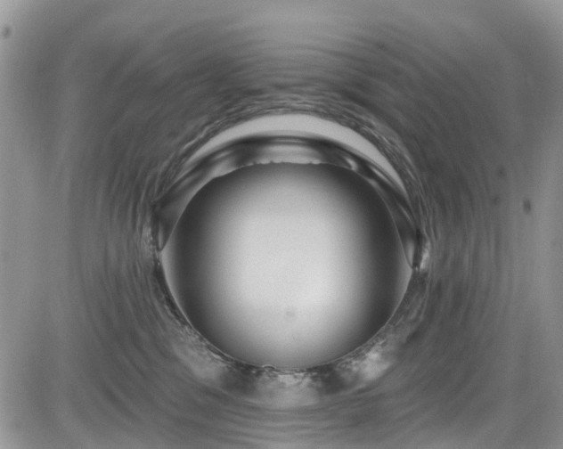 X0000085800329200703161157