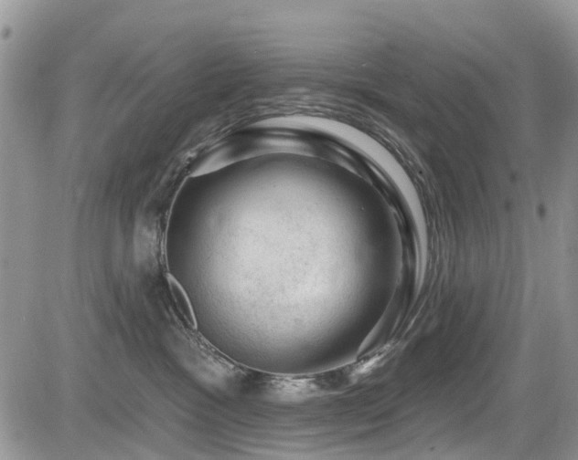 X0000085800333200703161157
