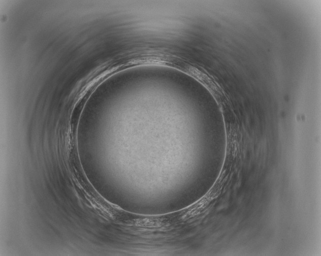 X0000085800338200703161156